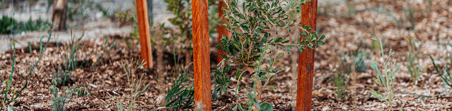 Waste and Environment